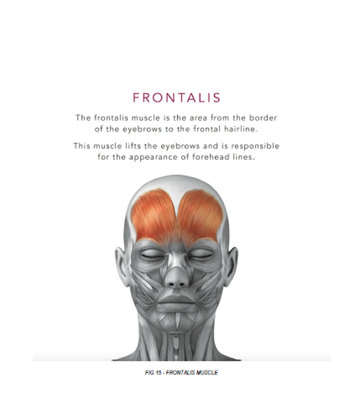 Facial Aesthetics Archidemia